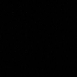 Meet your Posher, Dangelo